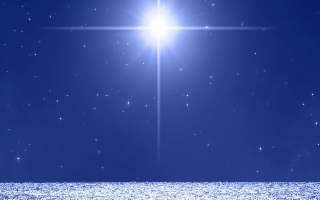 Rising Stars – wie geht es weiter