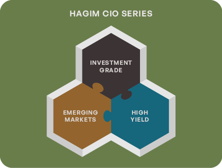 HAGIM CIO Series Strategien
