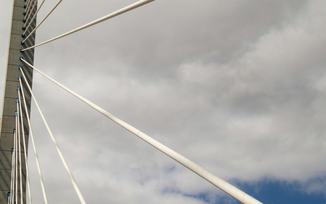 Defensive sectors face challenges: Growing dispersion among utilities