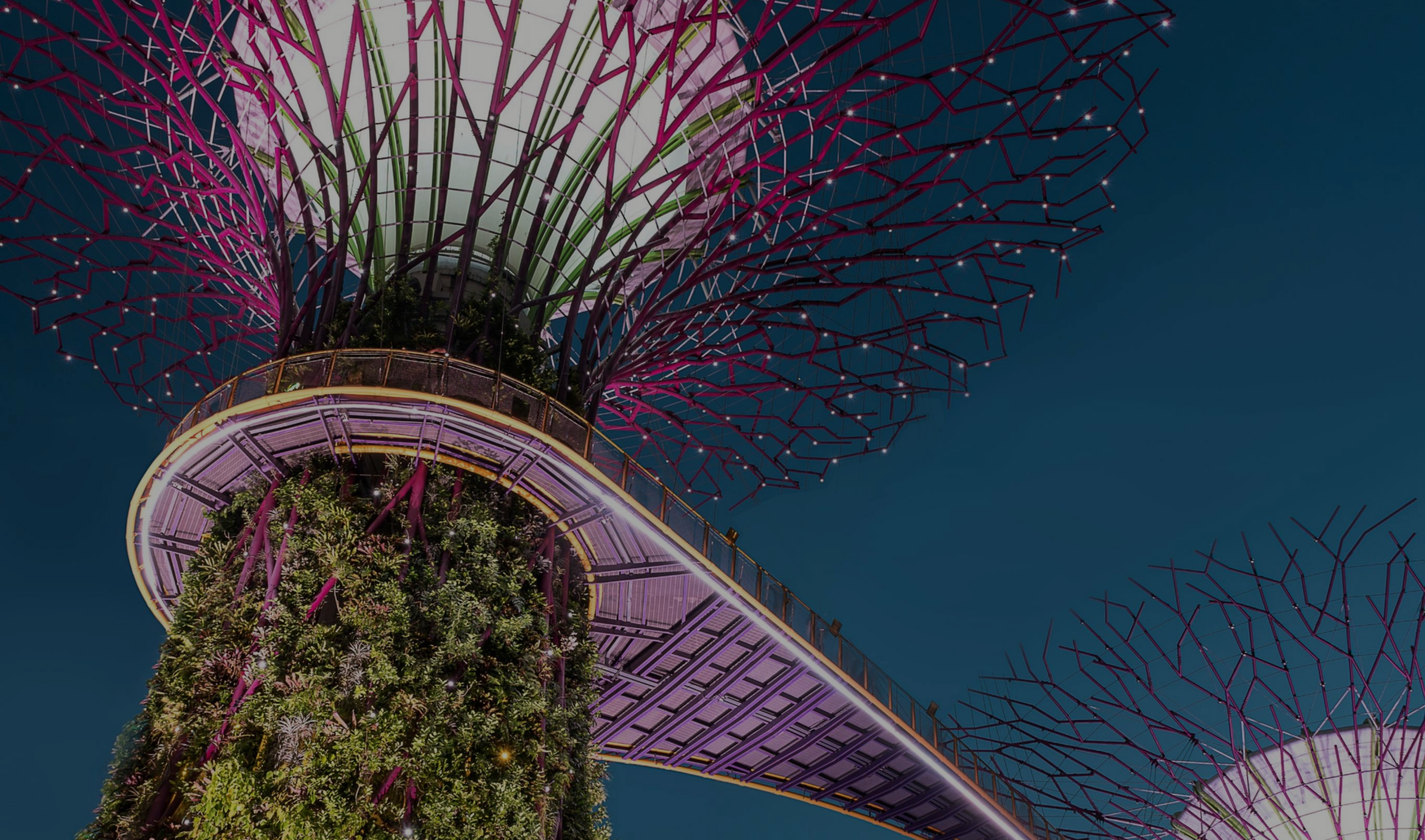 Einzigartige Partnerschaft